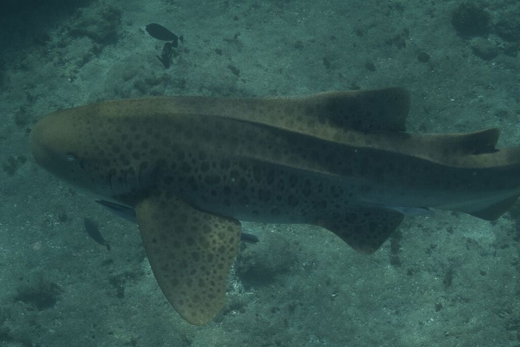 cb28911e-836e-462f-b93b-7e2be9a7cb1a