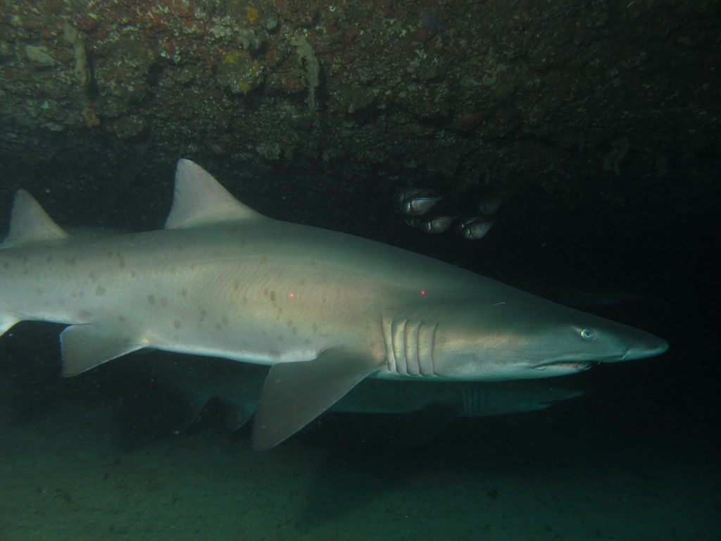 5ffe65ef-bcad-41c6-aa04-f41ce2a5efae