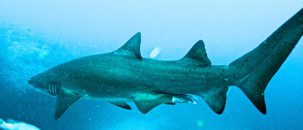 e3dacfac-9ff9-4100-8320-4a5bdb790ae6