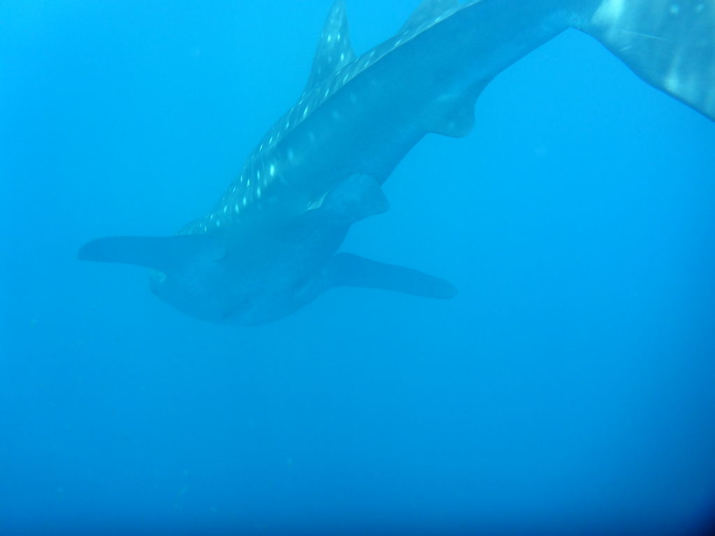 dbae5df9-206d-4193-bad7-810717b04749