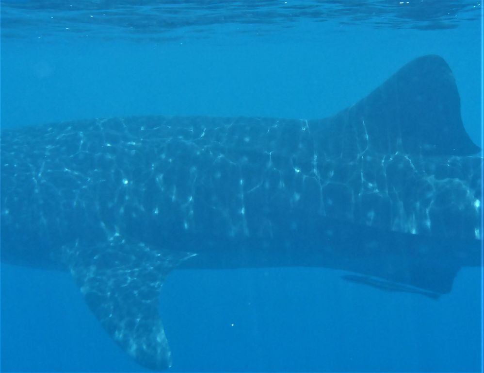 dbae5df9-206d-4193-bad7-810717b04749