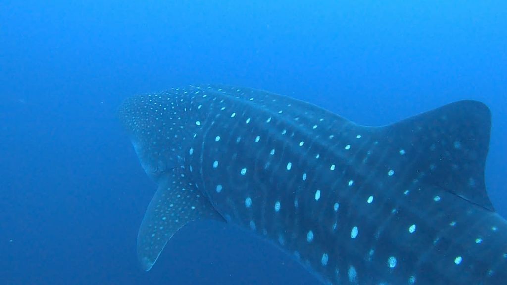 9f3377a2-761e-4bca-892d-8d95e23b0346