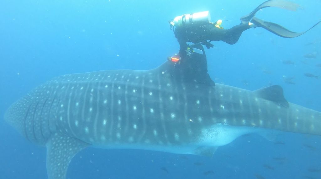 4921c558-a028-4b04-9255-622833b311a4