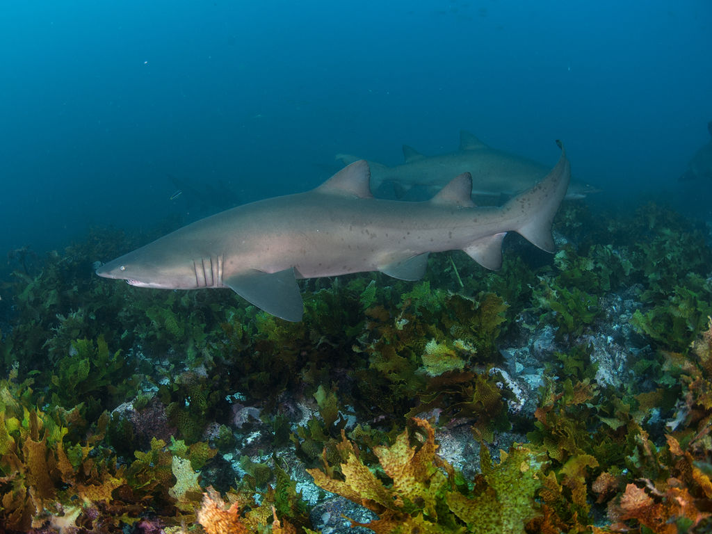 35121962-768e-4680-b666-dee4d3dda39b