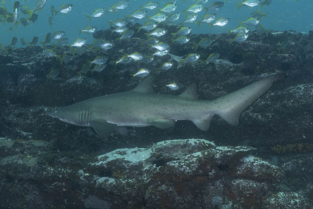 b3ffd0f2-a7b0-4f7e-b6f4-eb16c6c3a245