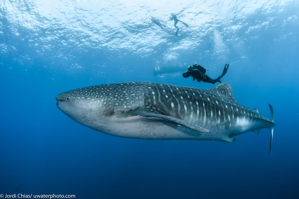 2433b14d-27ec-4840-be5b-3fab02f2b84d