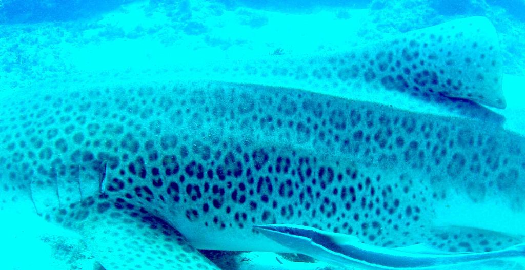 13f80fe7-9147-485e-9e0e-d68ed7ef7f1a