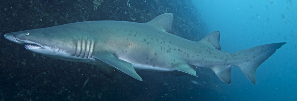 6f73f460-242f-4bb6-9761-47e7ccb85d9b