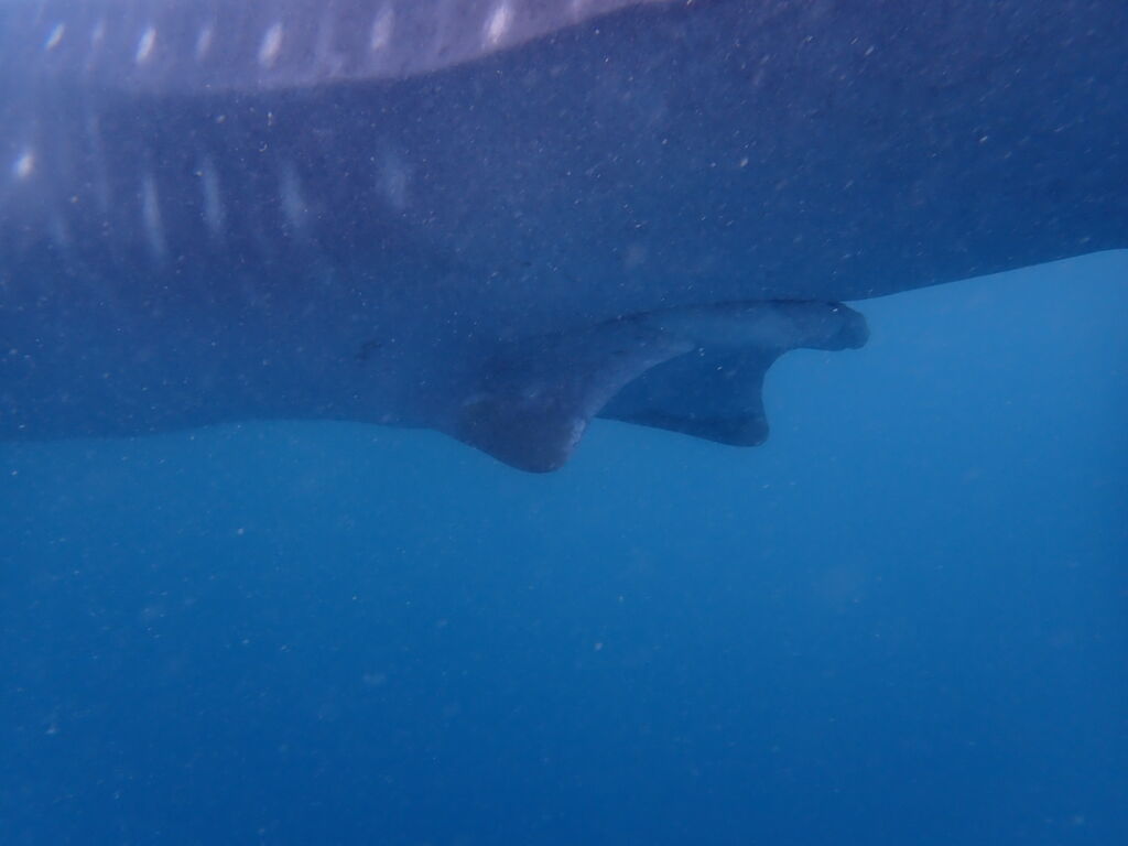 c33fa01b-91b0-4e86-8cc5-5914c5a0be55