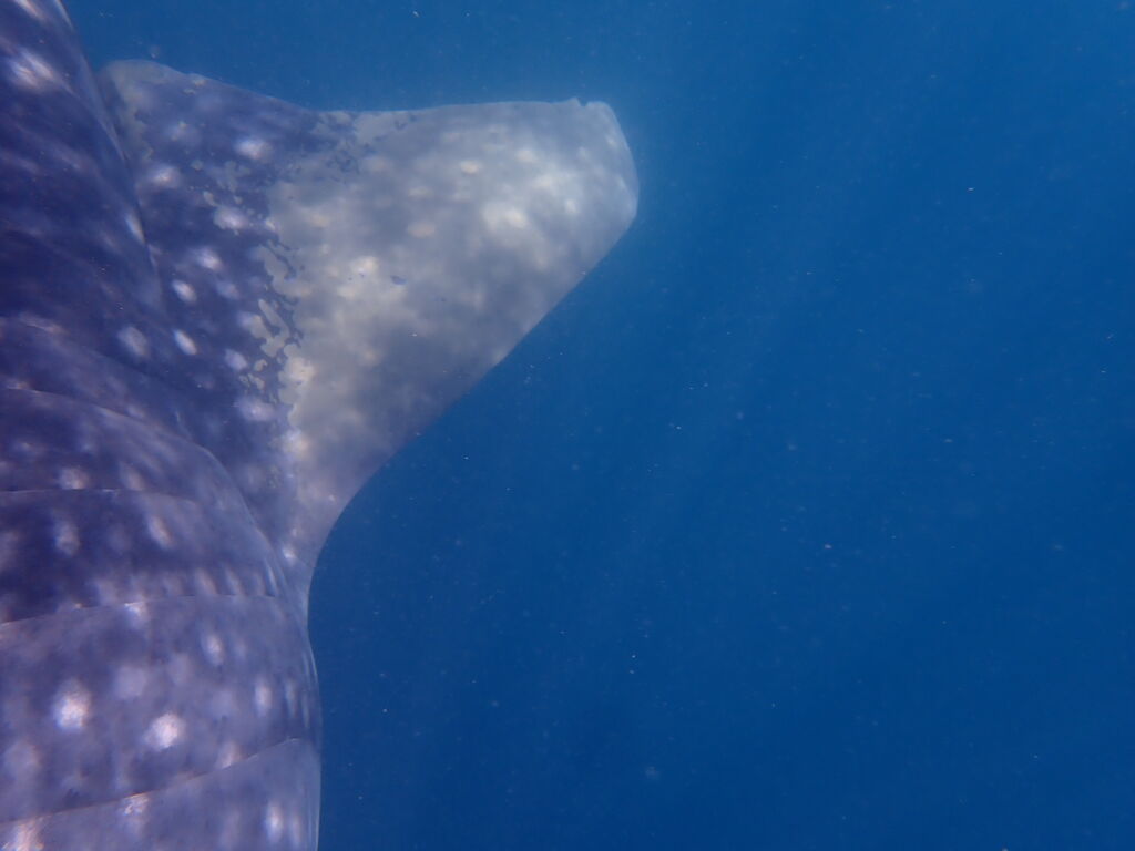 c33fa01b-91b0-4e86-8cc5-5914c5a0be55