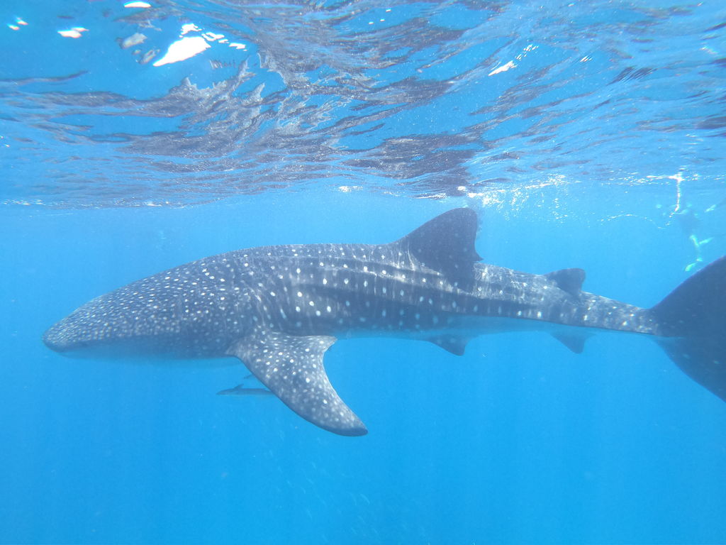 8ac5d67a-c487-4c25-b2da-659233f881a7