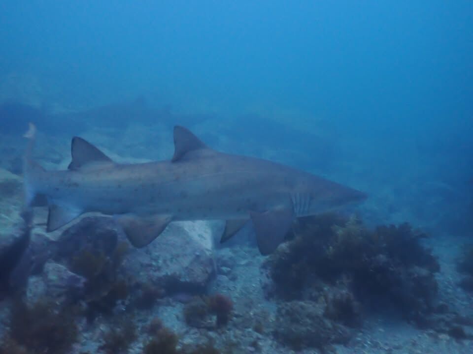 663690a9-b6be-47ff-a49a-cb55f871348b