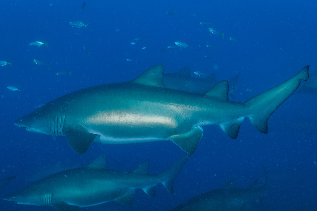 24fa040a-61a2-458c-a343-828b95541b8c