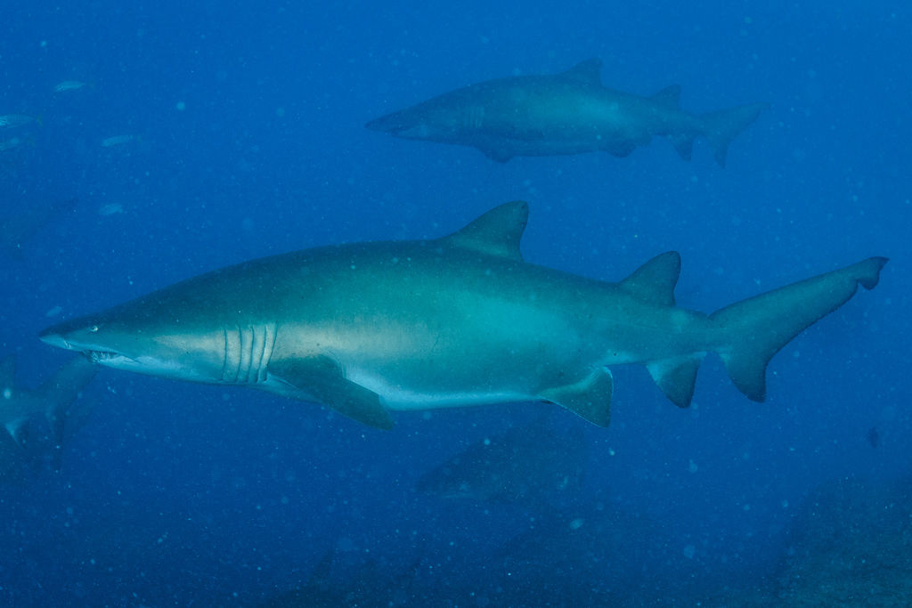 24fa040a-61a2-458c-a343-828b95541b8c