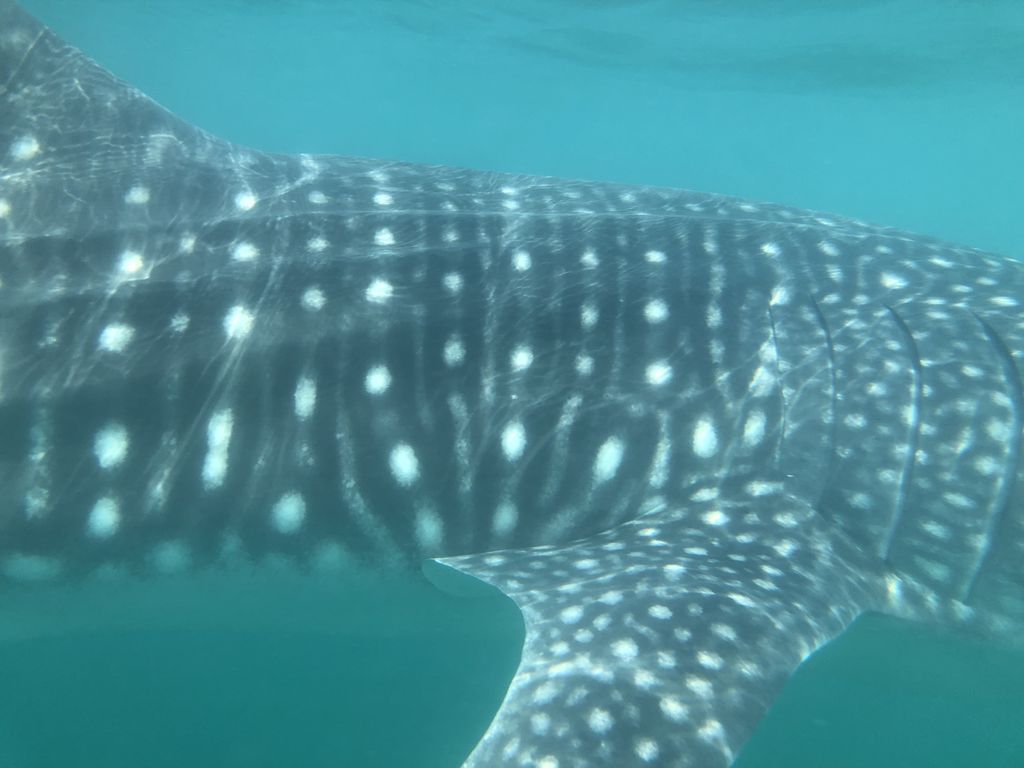 38be2b5f-c497-4a88-8185-f883d214727b