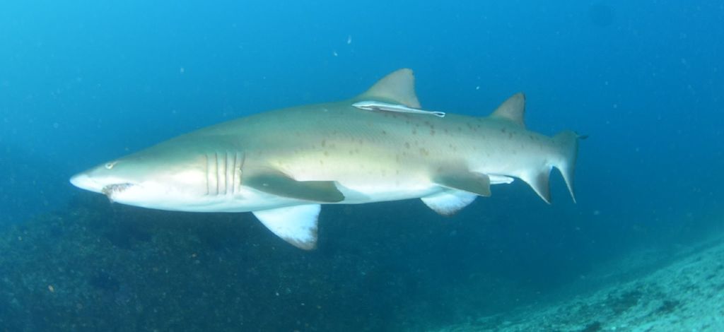 fbc36861-3a80-4f1c-9576-3434383608da