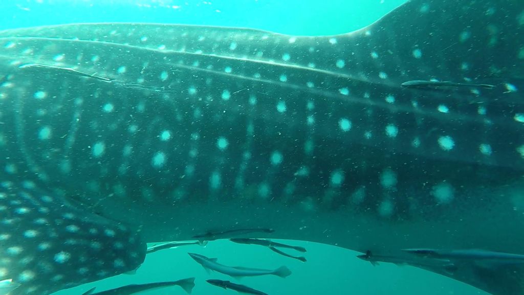 39c81fb4-6367-46b6-9adc-84b285afee97