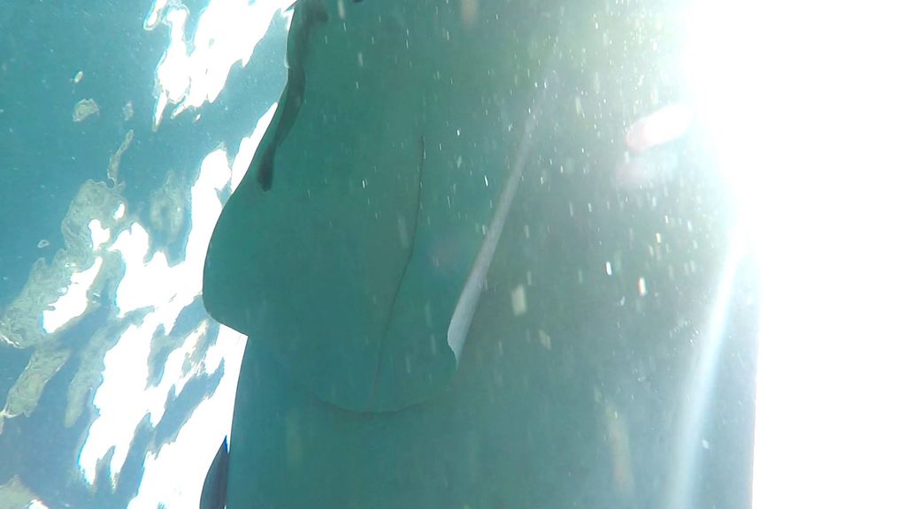 39c81fb4-6367-46b6-9adc-84b285afee97