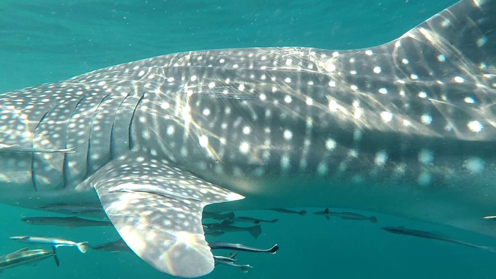 39c81fb4-6367-46b6-9adc-84b285afee97