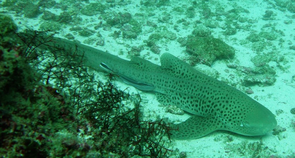 48487be7-9a65-4151-9571-75f1debc1042