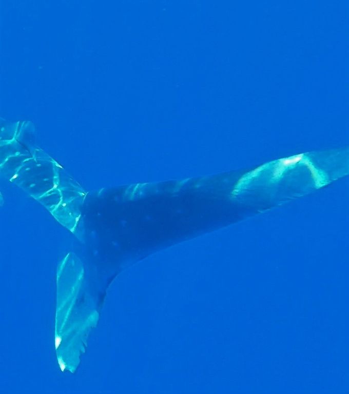 57854f65-c695-480d-8bfc-091e6343c0c3