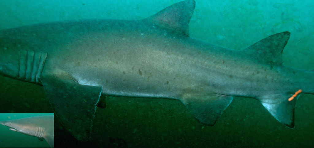 83ab0ebf-0877-4936-88d4-90123a536bc0