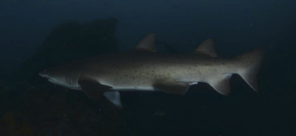 308d13aa-1cb3-4fb7-ae9c-73ec7a69c342