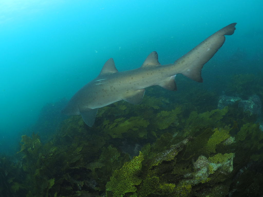 29149c54-b74d-4827-91e2-8a70d8e1d810