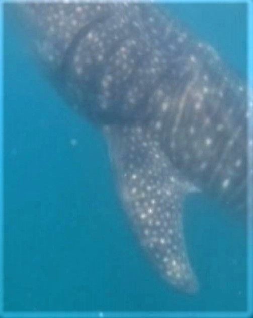 3d81bc6c-c381-4005-83c7-d33475f2cc20