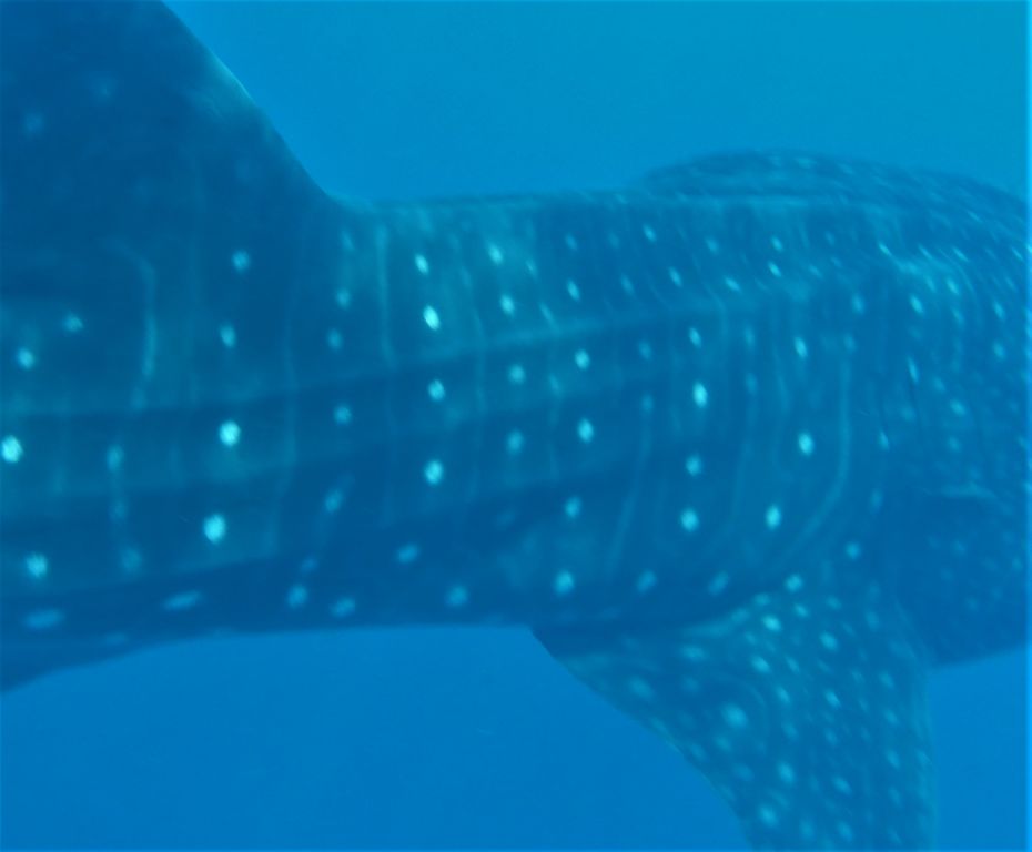 c85163d3-cfbb-4867-aae5-62be7f6d9341