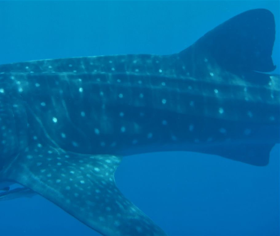 c85163d3-cfbb-4867-aae5-62be7f6d9341