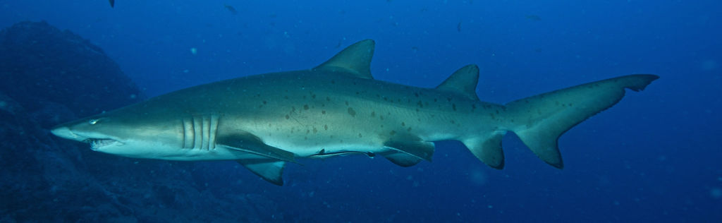 42a46449-19cc-40bf-9c3f-f5c141ac912c