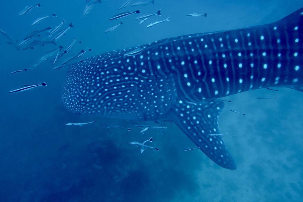 f3abc349-0e0d-4869-a5a3-f46ccdaef1a4