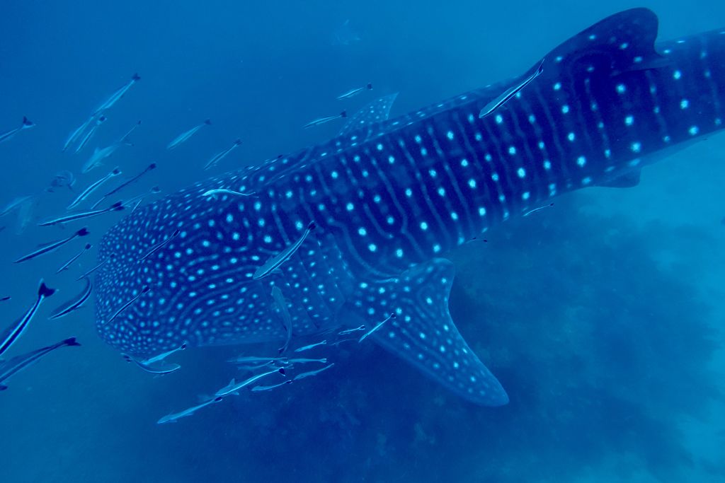 f3abc349-0e0d-4869-a5a3-f46ccdaef1a4