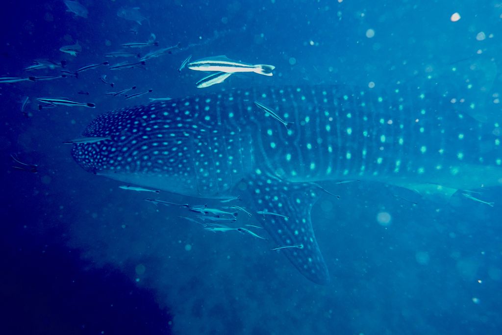 f3abc349-0e0d-4869-a5a3-f46ccdaef1a4