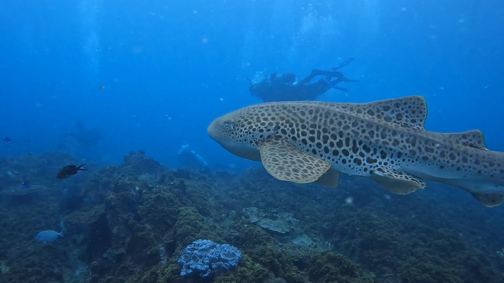 d361c636-6da0-4552-9391-00b9a2b7dfdf