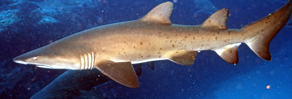 68c46375-deab-4154-abba-c41ecf2b3ac8