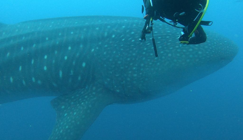 e1c4e54e-9deb-4eb3-ba51-7c4e0ece76a8