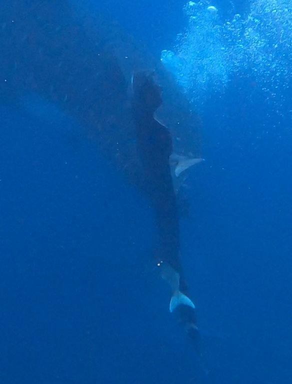 e1c4e54e-9deb-4eb3-ba51-7c4e0ece76a8