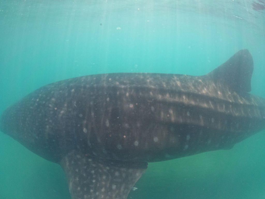 ab8d983c-9362-4a54-a8a3-ddaf9db78593