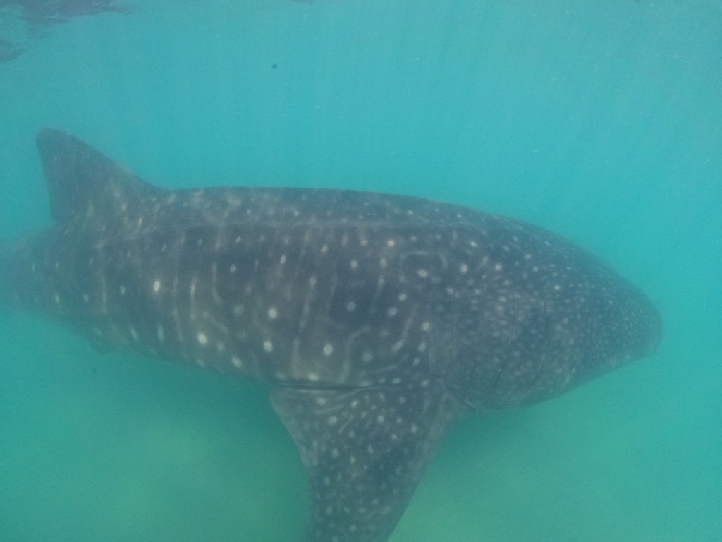 ab8d983c-9362-4a54-a8a3-ddaf9db78593