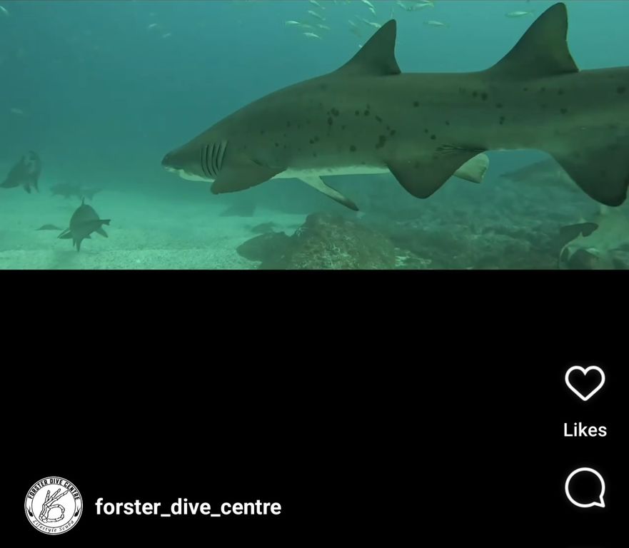 cdade344-f59d-4770-a4a8-623b639dab3f