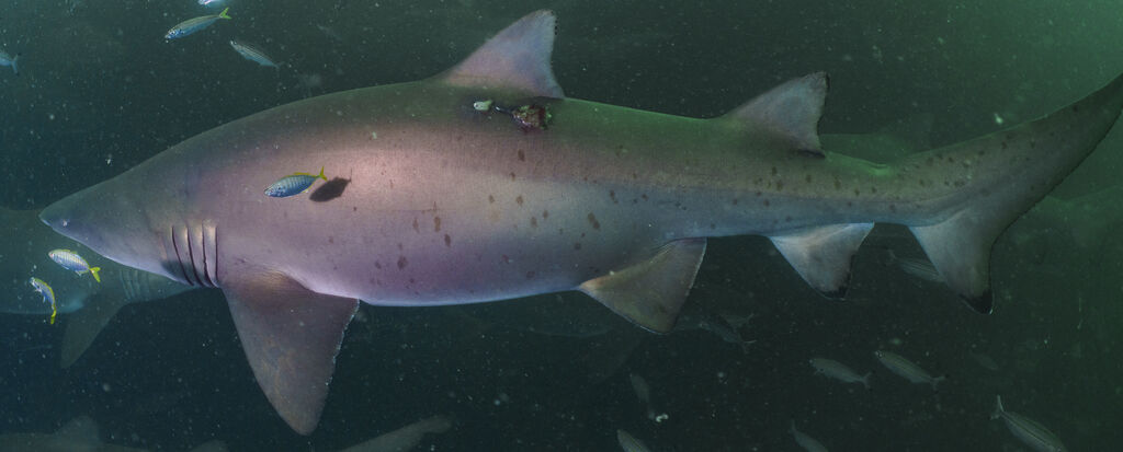 8ef6fc2c-7a7c-46ed-a458-373fc5dcca07