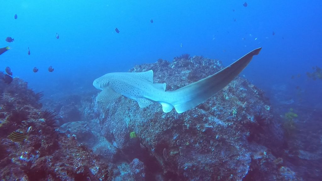 09b948f8-ca6c-4dbe-8520-b2c714309cdb