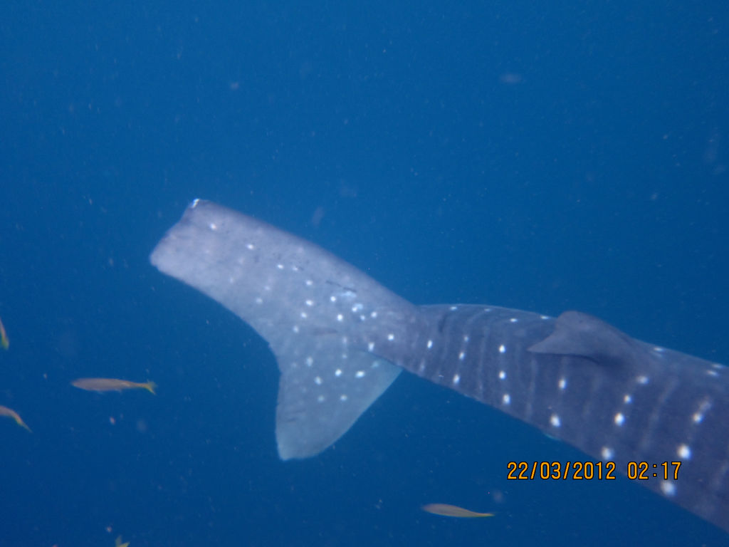 75d92d6f-e510-449d-9520-be0bf813a0c2