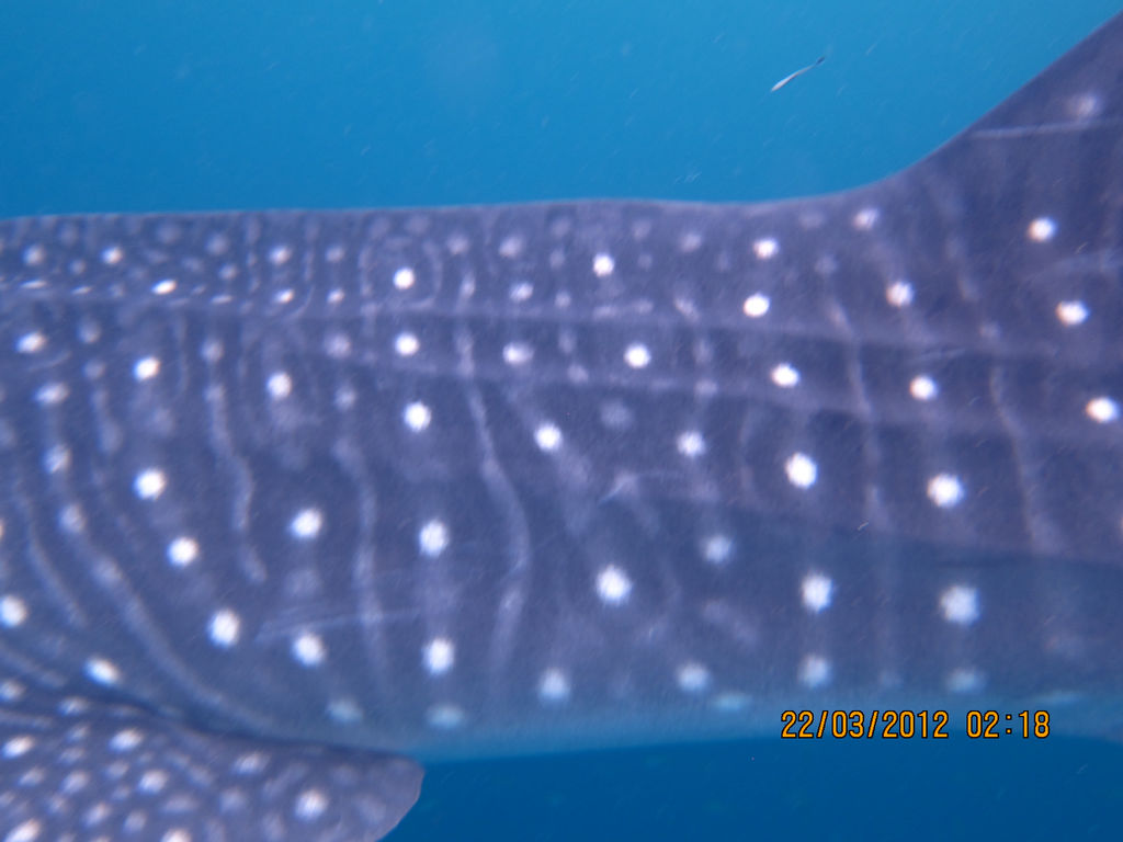 75d92d6f-e510-449d-9520-be0bf813a0c2