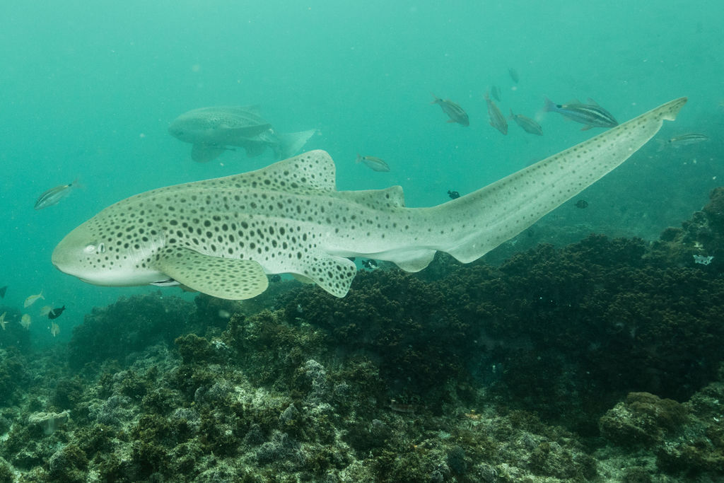 d5244b1b-6912-46a7-a00a-5fa78ccb7639