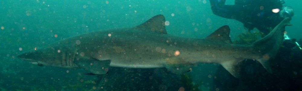 70abd634-7df4-4a04-a04a-f9c383caece8