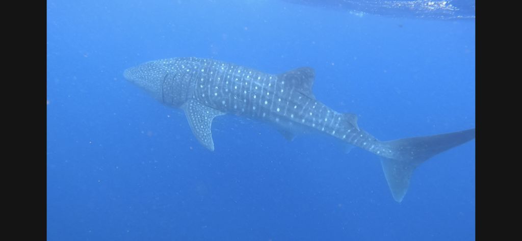 e508b570-aa76-44ad-8805-20635b7c39ad