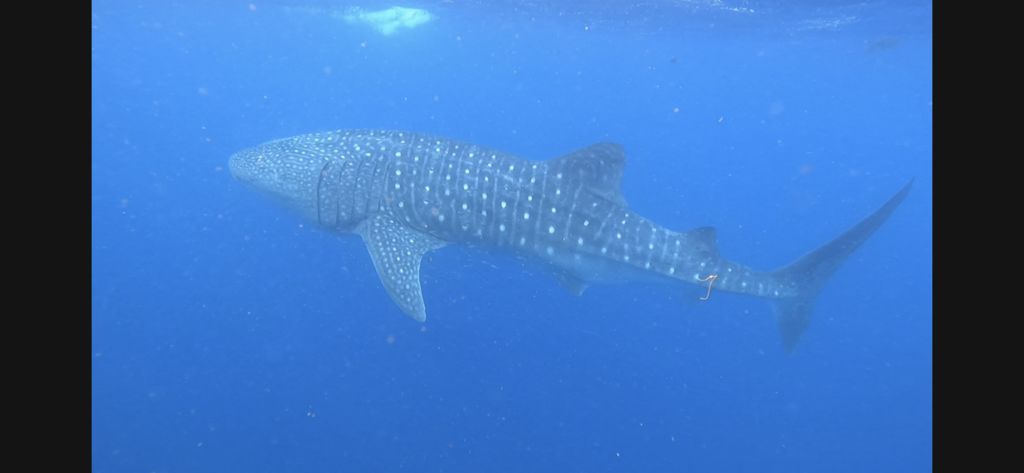 e508b570-aa76-44ad-8805-20635b7c39ad